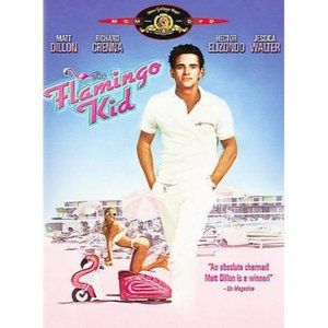 The Flamingo Kid DVD VERY GOOD